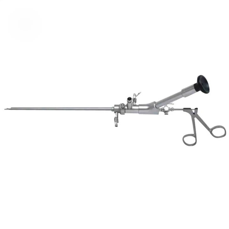 dissecting forceps